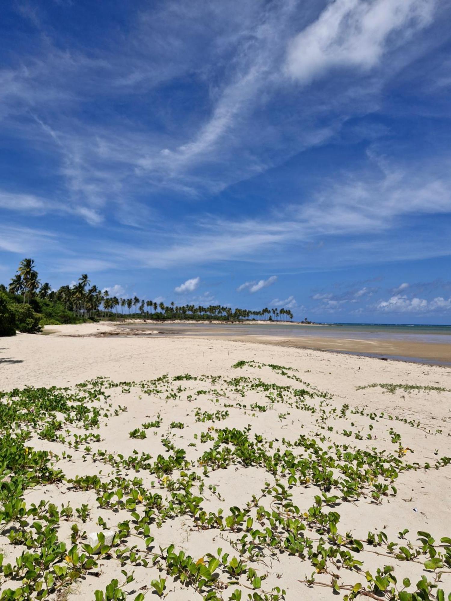 Msflats Paripueira Praia Wifi Ar Cozinha E Varanda Nascente C Rede Ngoại thất bức ảnh